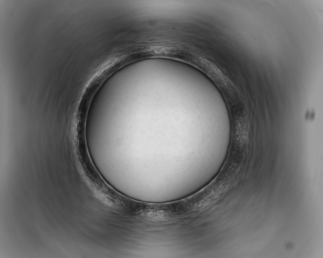 X0000100190730200806131207