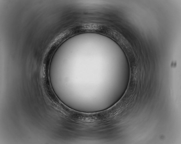 X0000100190731200806131207