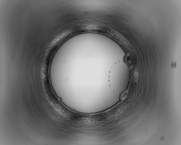 X0000100190732200806131207