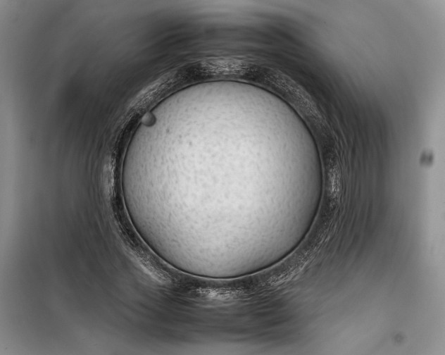 X0000100190733200806131207