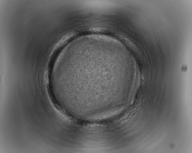 X0000100190734200806131207