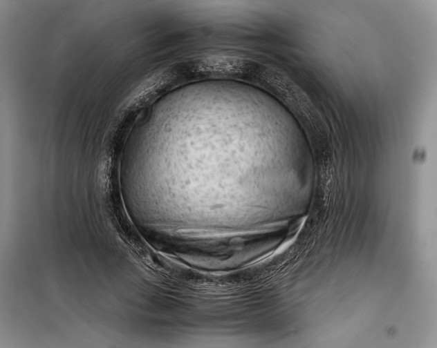 X0000100190735200806131207