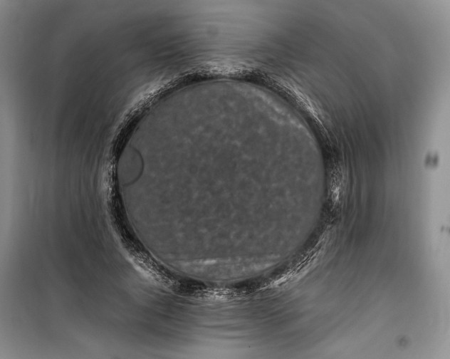 X0000100190736200806131207