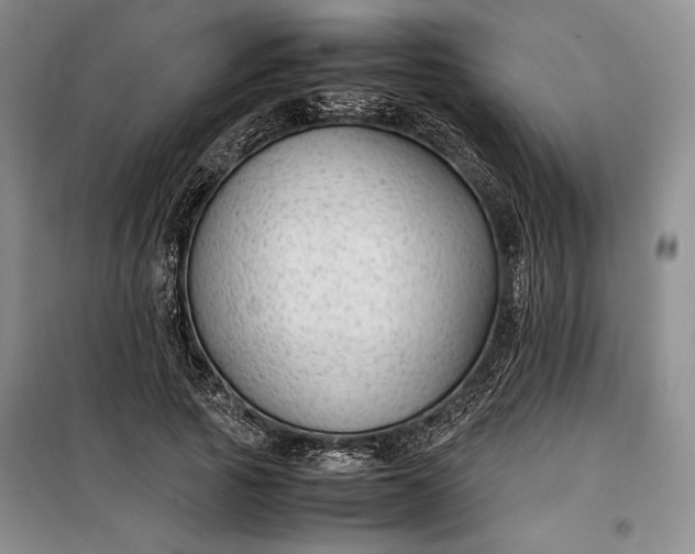 X0000100190737200806131207