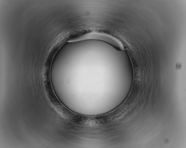 X0000100190738200806131207