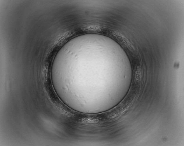 X0000100190739200806131207