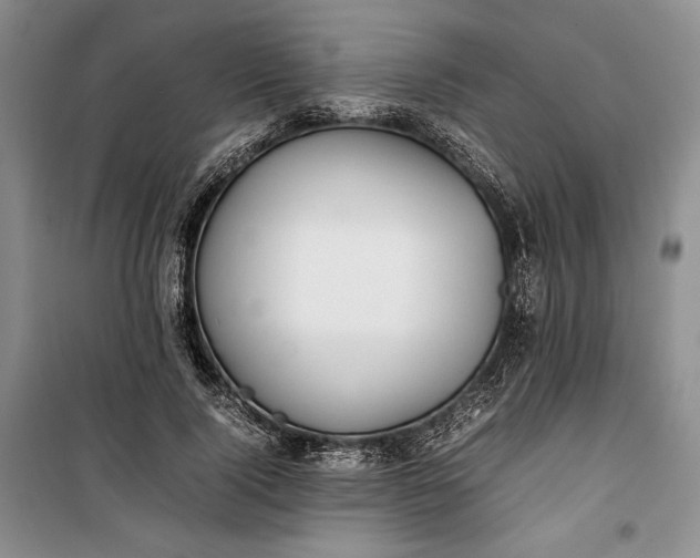 X0000100190740200806131207