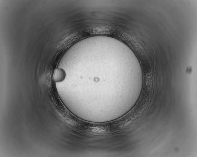 X0000100190741200806131207