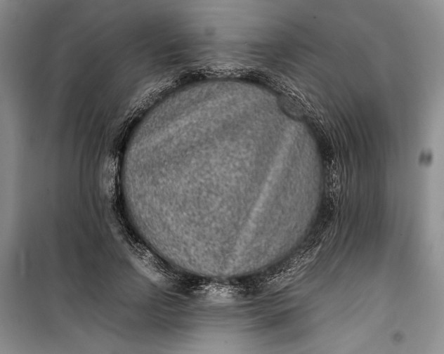 X0000100190742200806131207