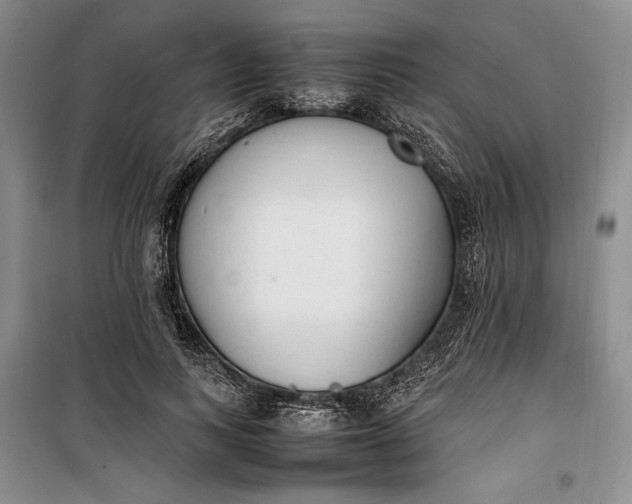 X0000100190743200806131207