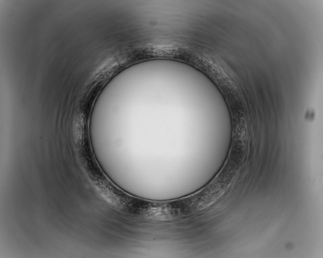 X0000100190744200806131207