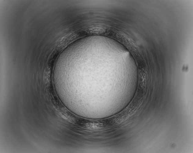 X0000100190745200806131207