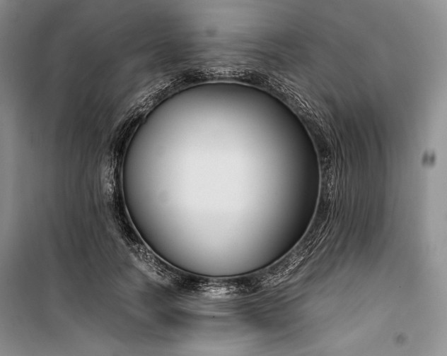 X0000100190746200806131207