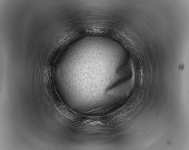 X0000100190747200806131207