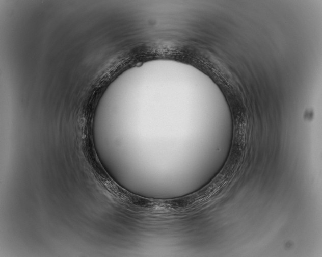 X0000100190750200806131207