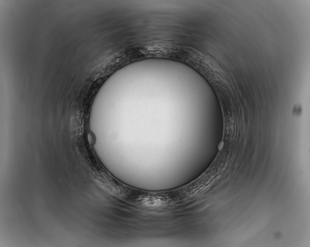 X0000100190751200806131207