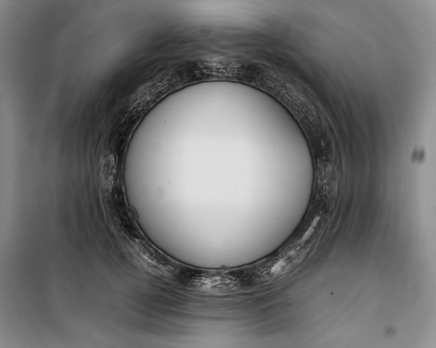 X0000100190752200806131207