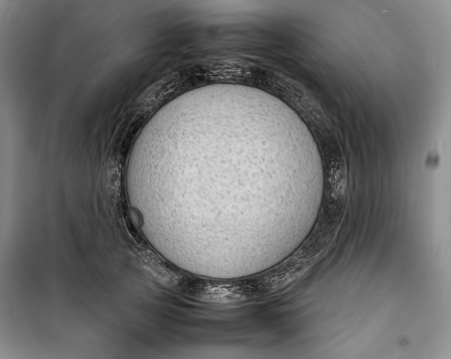 X0000100190753200806131207