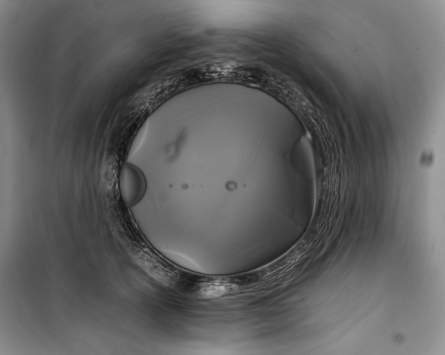 X0000100190754200806131207