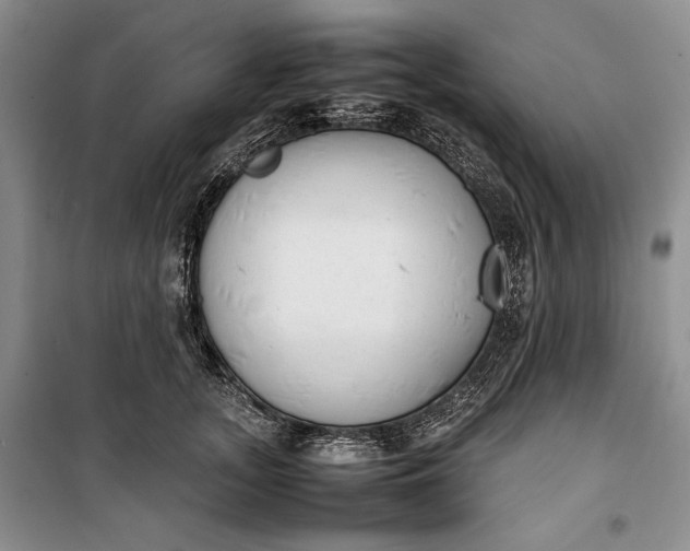 X0000100190755200806131207