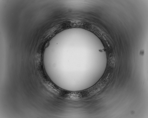 X0000100190756200806131207