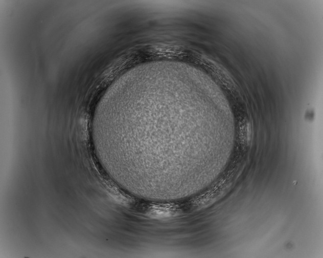 X0000100190757200806131207