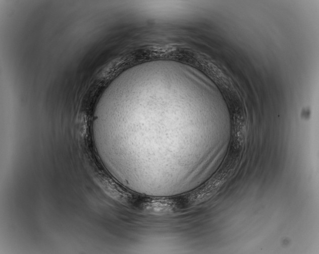 X0000100190758200806131207