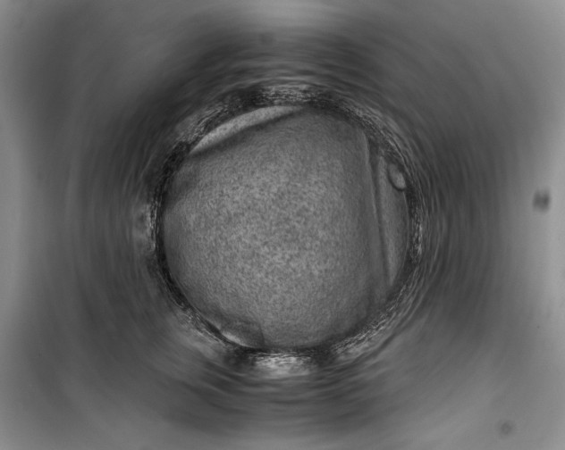 X0000100190759200806131207