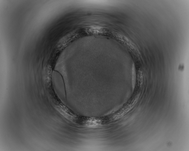 X0000100190760200806131207