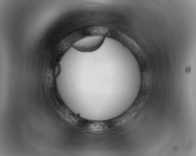 X0000100190761200806131207