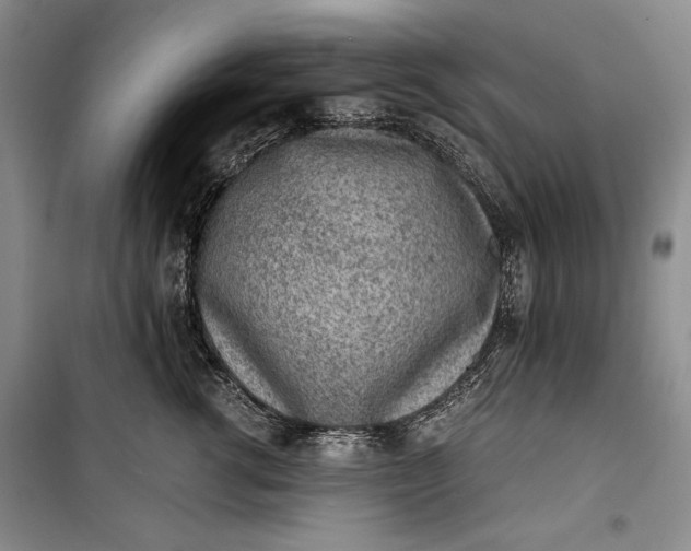 X0000100190762200806131207