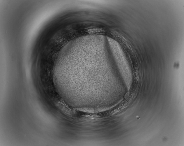 X0000100190763200806131207