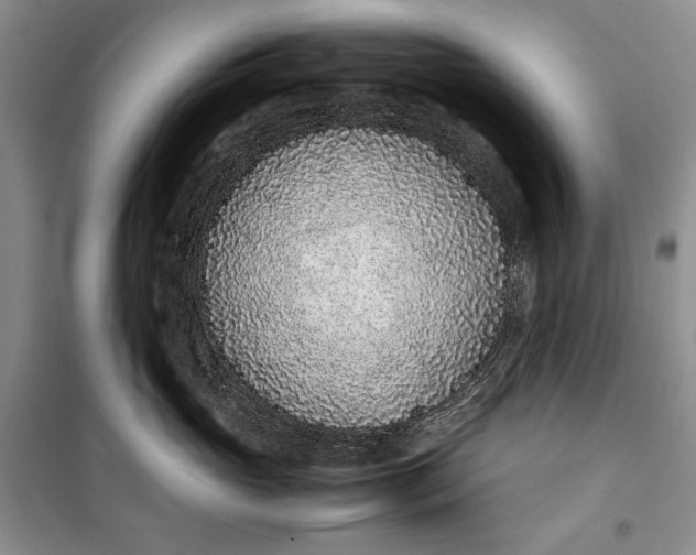 X0000100190765200806131207