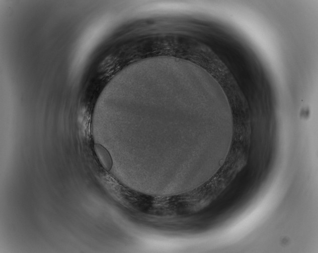 X0000100190766200806131207