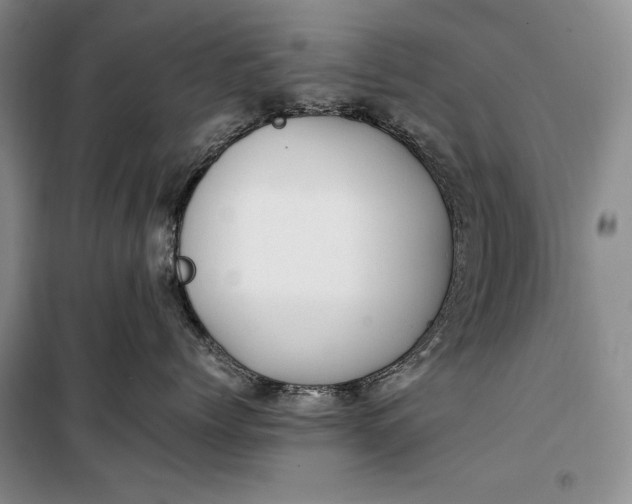 X0000100190768200806131207