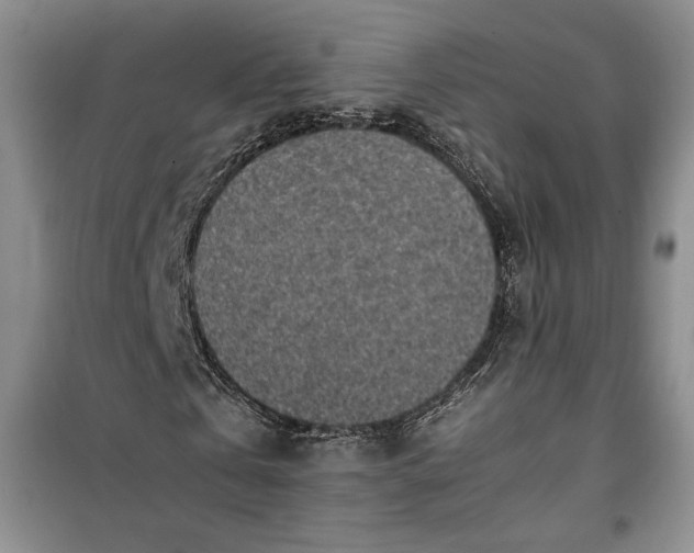 X0000100190769200806131207