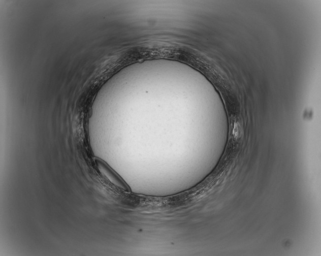 X0000100190771200806131207