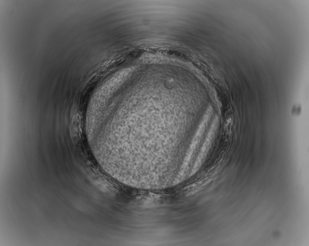 X0000100190772200806131207