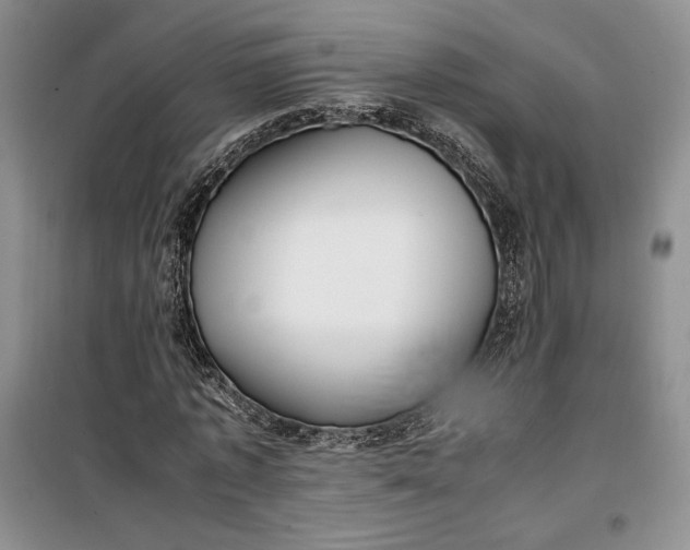 X0000100190773200806131207