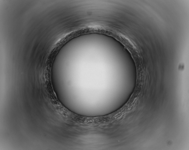 X0000100190776200806131206