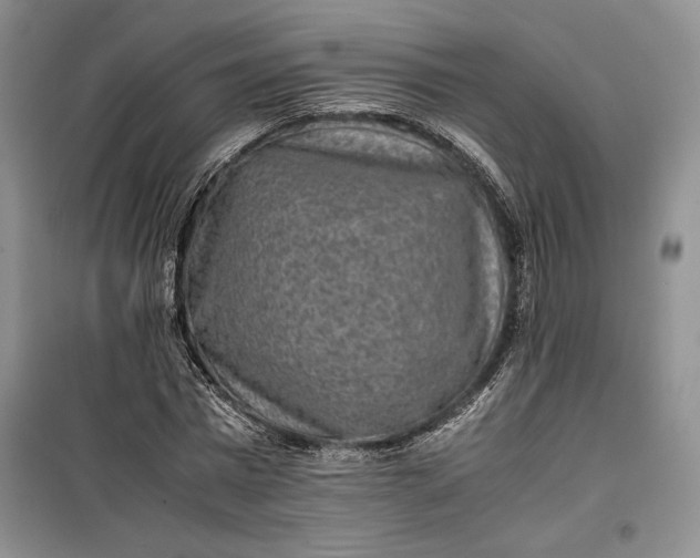 X0000100190777200806131206