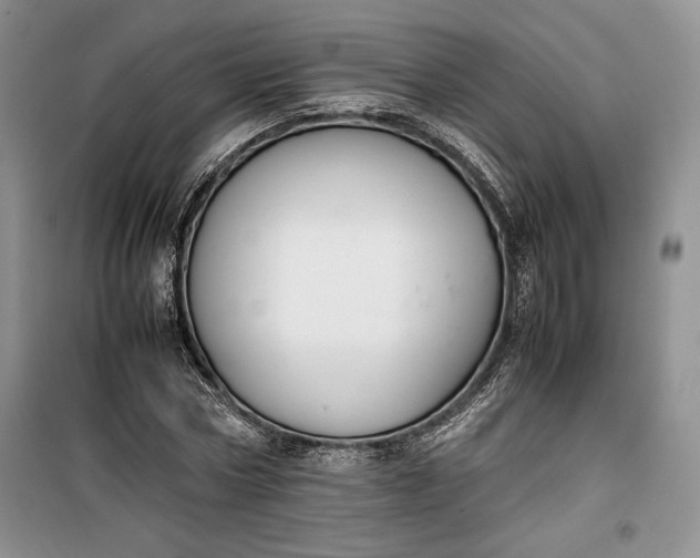 X0000100190778200806131206