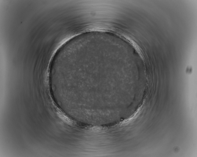 X0000100190779200806131206