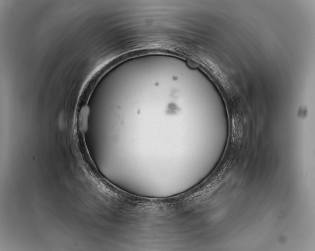 X0000100190780200806131206