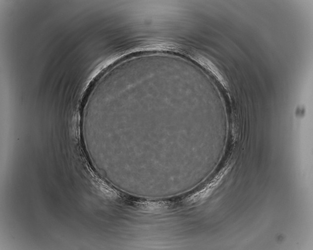 X0000100190781200806131206