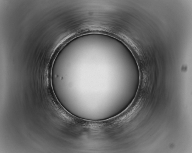 X0000100190782200806131206