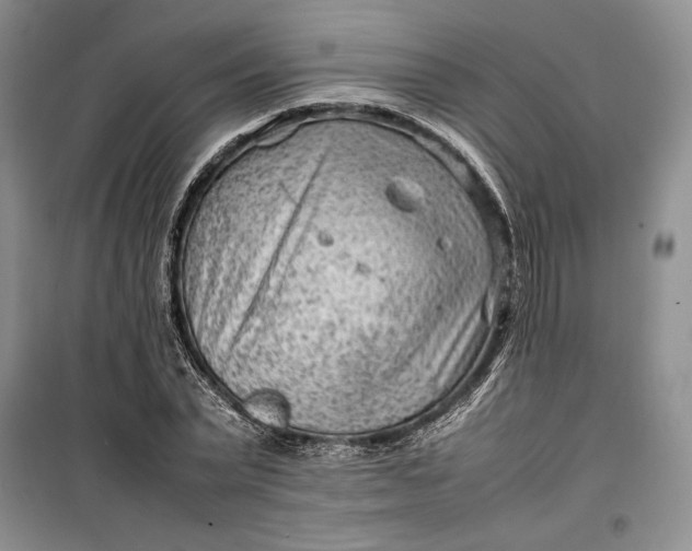 X0000100190783200806131206