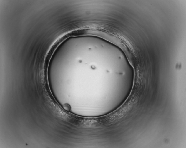 X0000100190784200806131206