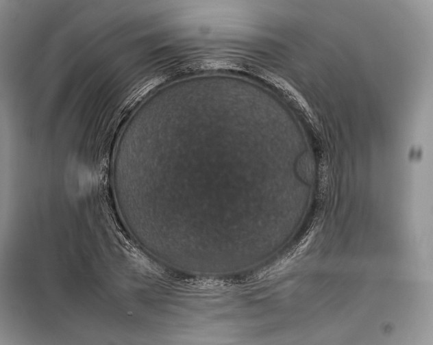 X0000100190785200806131206