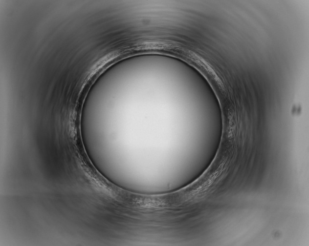 X0000100190786200806131206